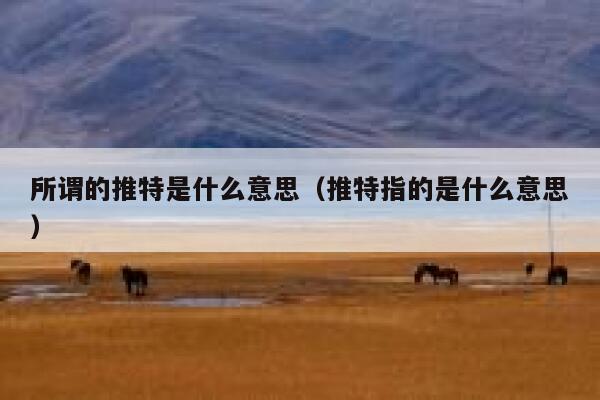所谓的推特是什么意思（推特指的是什么意思） 第1张