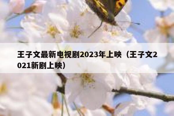 王子文最新电视剧2023年上映（王子文2021新剧上映） 第1张