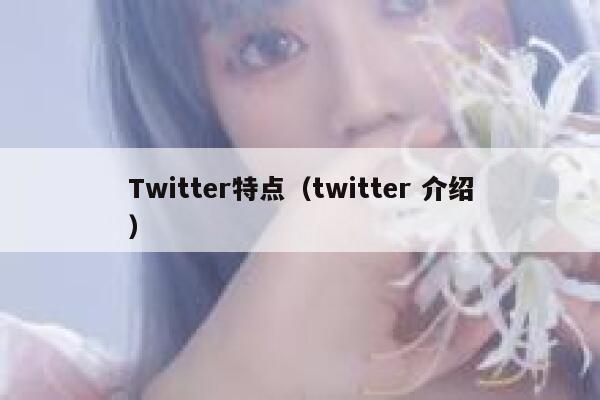 Twitter特点（twitter 介绍） 第1张