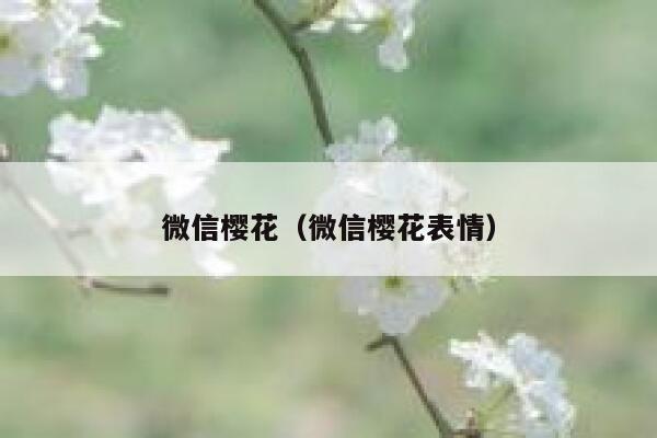 微信樱花（微信樱花表情） 第1张