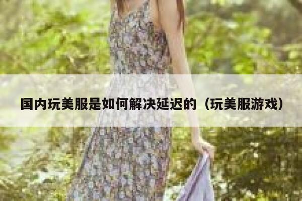 国内玩美服是如何解决延迟的（玩美服游戏） 第1张