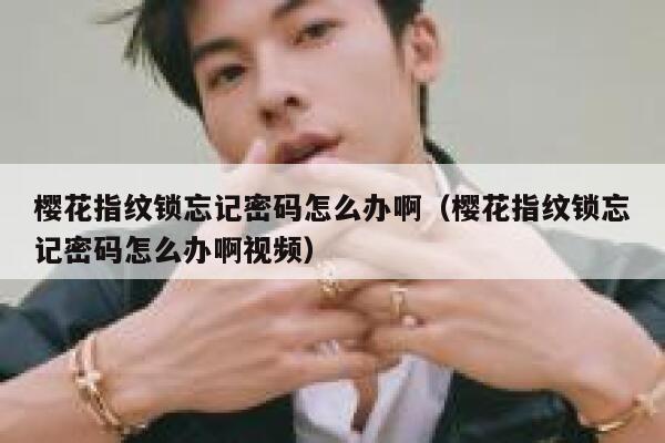 樱花指纹锁忘记密码怎么办啊（樱花指纹锁忘记密码怎么办啊视频） 第1张