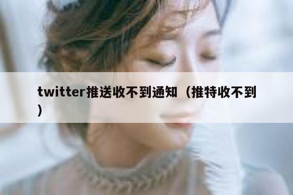 twitter推送收不到通知（推特收不到） 第1张