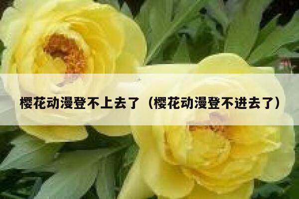 樱花动漫登不上去了(樱花动漫登不进去了) 第1张 樱花动漫登不上去了(樱花动漫登不进去了) 第1张