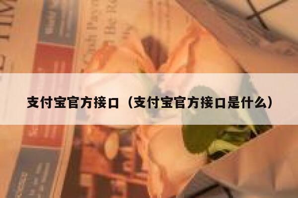 支付宝官方接口（支付宝官方接口是什么） 第1张