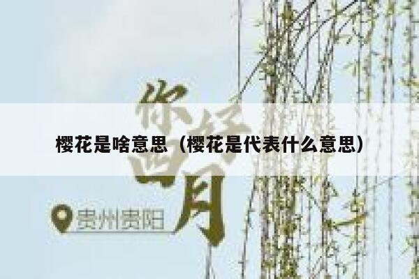 樱花是啥意思（樱花是代表什么意思） 第1张