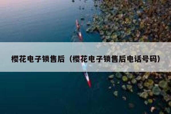 樱花电子锁售后（樱花电子锁售后电话号码） 第1张