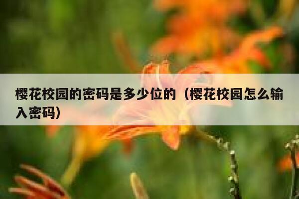 樱花校园的密码是多少位的（樱花校园怎么输入密码） 第1张