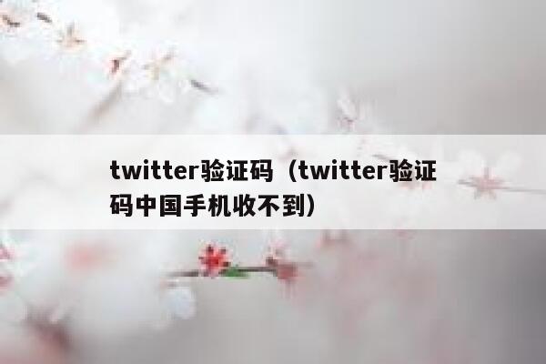 twitter验证码（twitter验证码中国手机收不到） 第1张