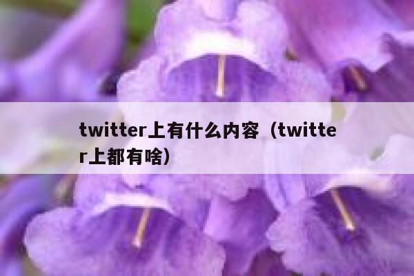 twitter上有什么内容（twitter上都有啥） 第1张