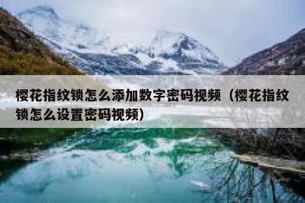 樱花指纹锁怎么添加数字密码视频（樱花指纹锁怎么设置密码视频） 第1张
