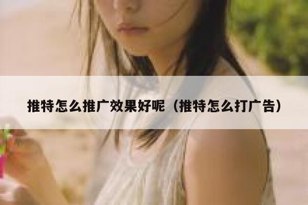 推特怎么推广效果好呢（推特怎么打广告） 第1张