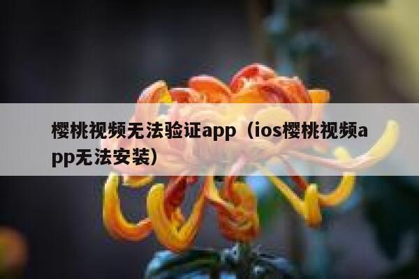 樱桃视频无法验证app（ios樱桃视频app无法安装） 第1张