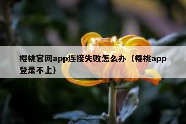 樱桃官网app连接失败怎么办（樱桃app登录不上） 第1张