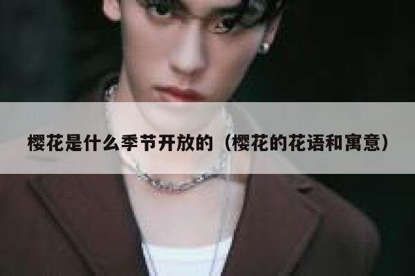 樱花是什么季节开放的（樱花的花语和寓意） 第1张