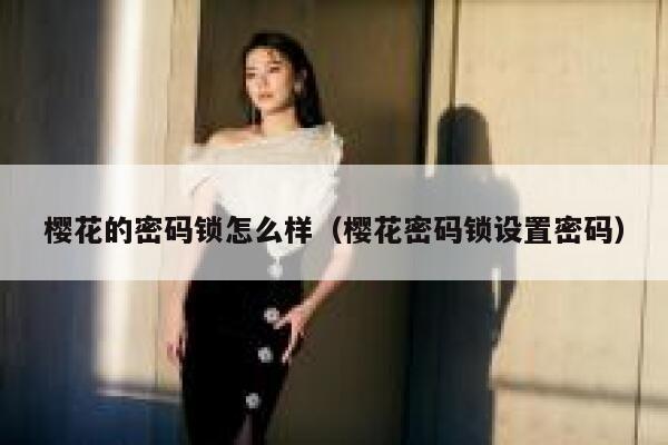 樱花的密码锁怎么样（樱花密码锁设置密码） 第1张