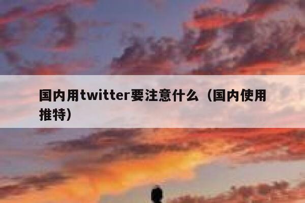 国内用twitter要注意什么（国内使用推特） 第1张