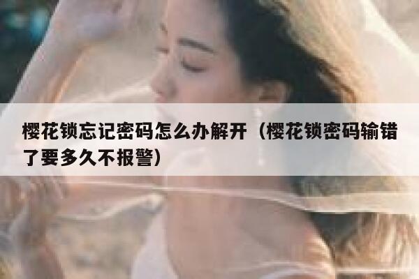 樱花锁忘记密码怎么办解开（樱花锁密码输错了要多久不报警） 第1张