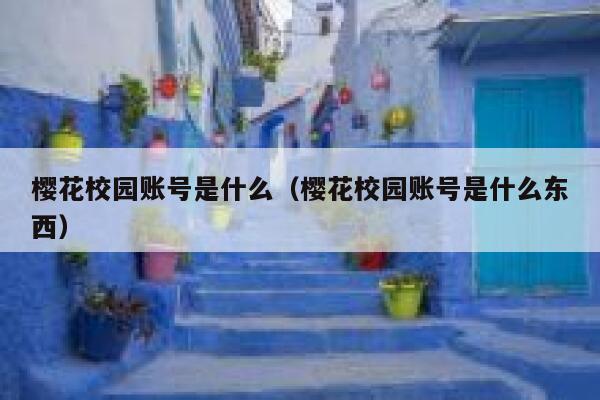 樱花校园账号是什么（樱花校园账号是什么东西） 第1张