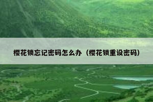 樱花锁忘记密码怎么办（樱花锁重设密码） 第1张
