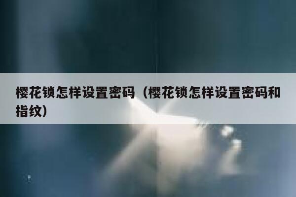 樱花锁怎样设置密码（樱花锁怎样设置密码和指纹） 第1张