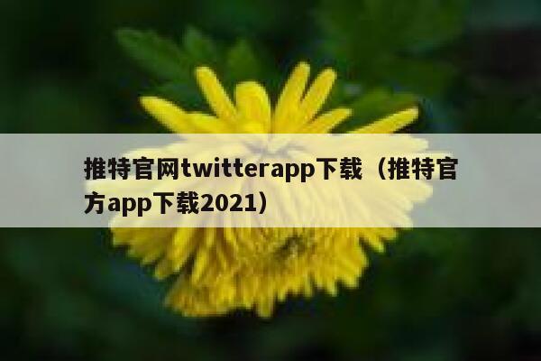 推特官网twitterapp下载（推特官方app下载2021） 第1张