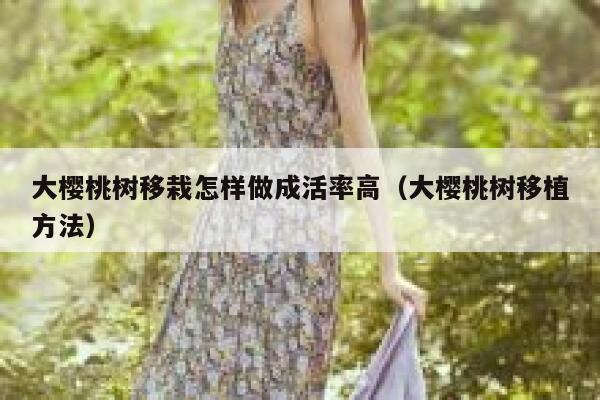 大樱桃树移栽怎样做成活率高（大樱桃树移植方法） 第1张