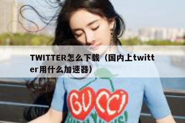 TWITTER怎么下载（国内上twitter用什么加速器） 第1张