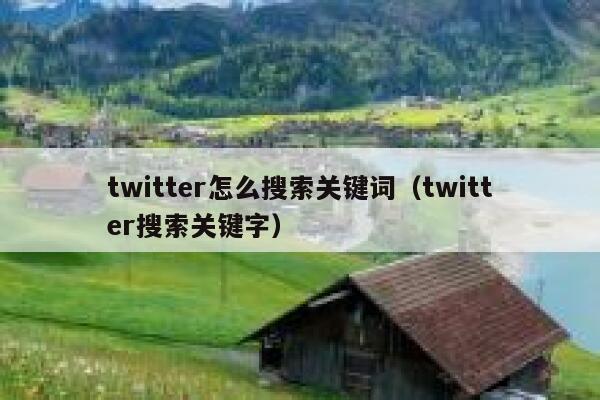 twitter怎么搜索关键词（twitter搜索关键字） 第1张