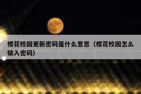 樱花校园更新密码是什么意思（樱花校园怎么输入密码） 第1张