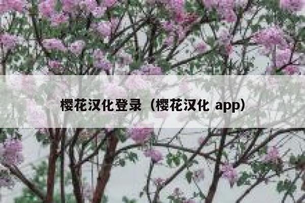 樱花汉化登录（樱花汉化 app） 第1张