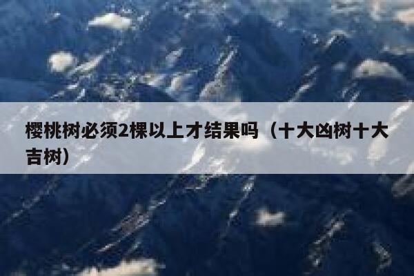 樱桃树必须2棵以上才结果吗（十大凶树十大吉树） 第1张