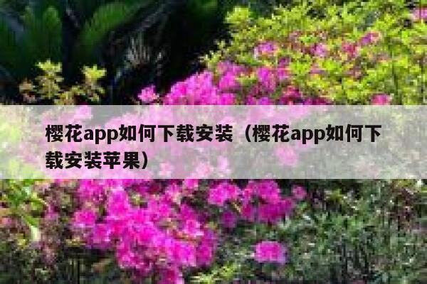 樱花app如何下载安装（樱花app如何下载安装苹果） 第1张