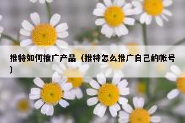 推特如何推广产品（推特怎么推广自己的帐号） 第1张
