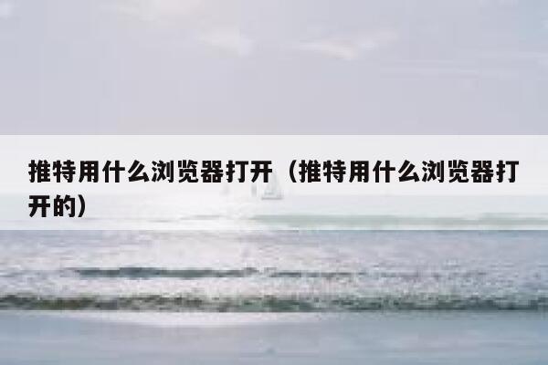 推特用什么浏览器打开（推特用什么浏览器打开的） 第1张