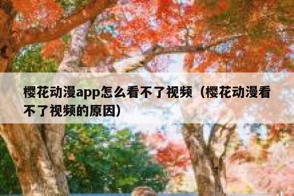 樱花动漫app怎么看不了视频（樱花动漫看不了视频的原因） 第1张