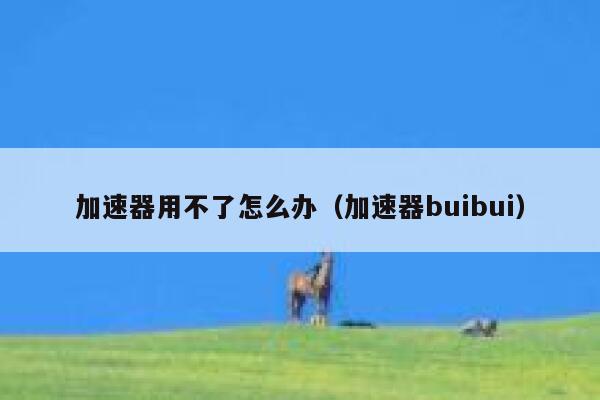 加速器用不了怎么办（加速器buibui） 第1张