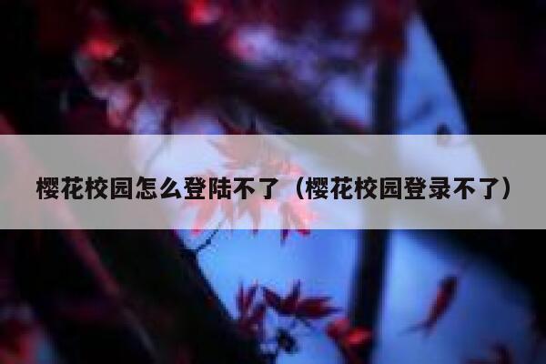 樱花校园怎么登陆不了（樱花校园登录不了） 第1张