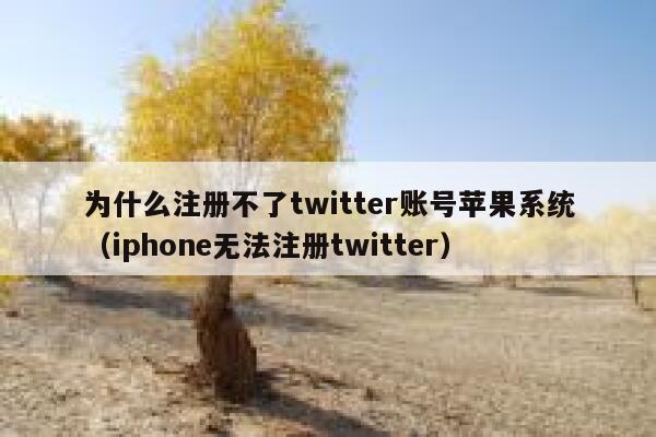 为什么注册不了twitter账号苹果系统（iphone无法注册twitter） 第1张