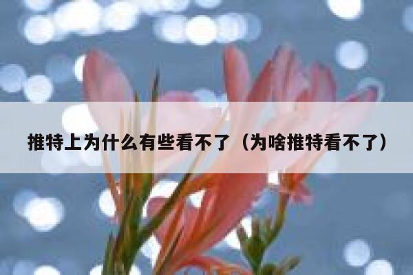推特上为什么有些看不了（为啥推特看不了） 第1张