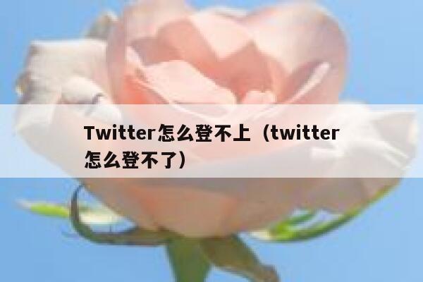 Twitter怎么登不上（twitter怎么登不了） 第1张