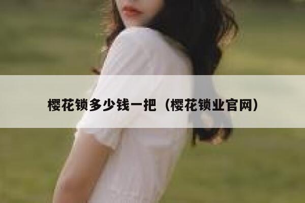 樱花锁多少钱一把（樱花锁业官网） 第1张