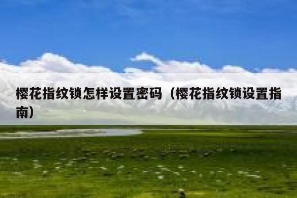 樱花指纹锁怎样设置密码（樱花指纹锁设置指南） 第1张