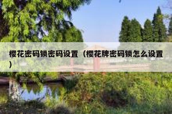 樱花密码锁密码设置（樱花牌密码锁怎么设置） 第1张