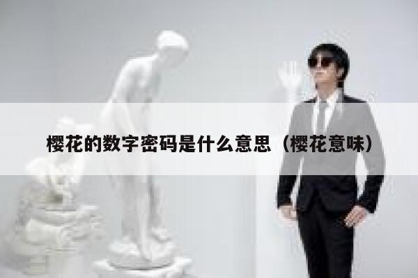 樱花的数字密码是什么意思（樱花意味） 第1张
