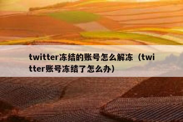twitter冻结的账号怎么解冻（twitter账号冻结了怎么办） 第1张
