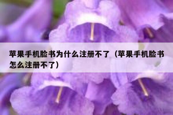 苹果手机脸书为什么注册不了（苹果手机脸书怎么注册不了） 第1张