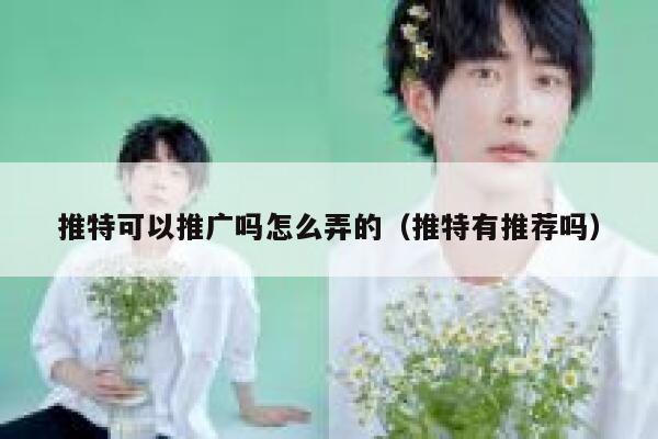 推特可以推广吗怎么弄的（推特有推荐吗） 第1张