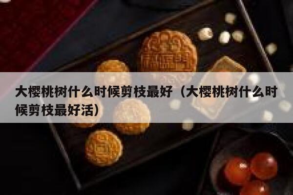 大樱桃树什么时候剪枝最好（大樱桃树什么时候剪枝最好活） 第1张