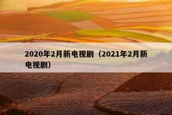 2020年2月新电视剧（2021年2月新电视剧） 第1张